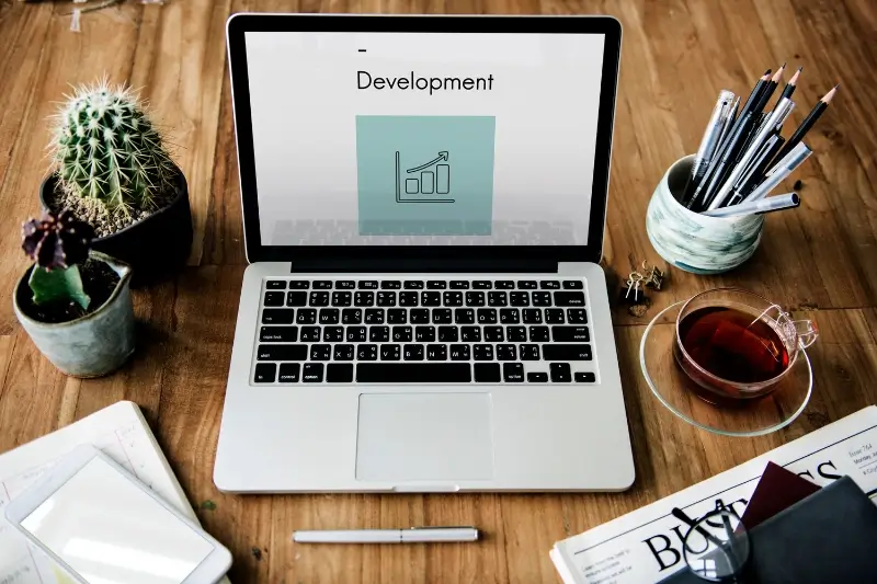 Web Development
