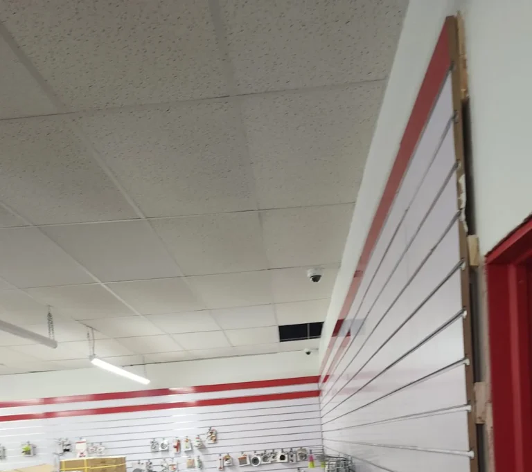 Ceiling-mounted dome security cameras covering the sales floor of a retail store